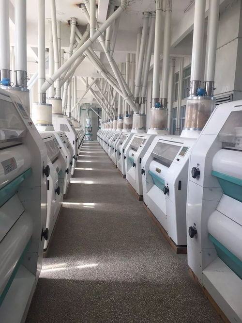 山東清華面粉機械設備調劑中心